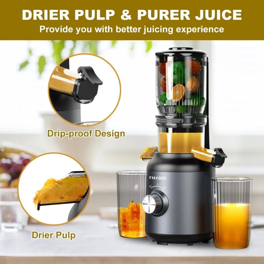 Cold press juicer for whole fruits and vegetables