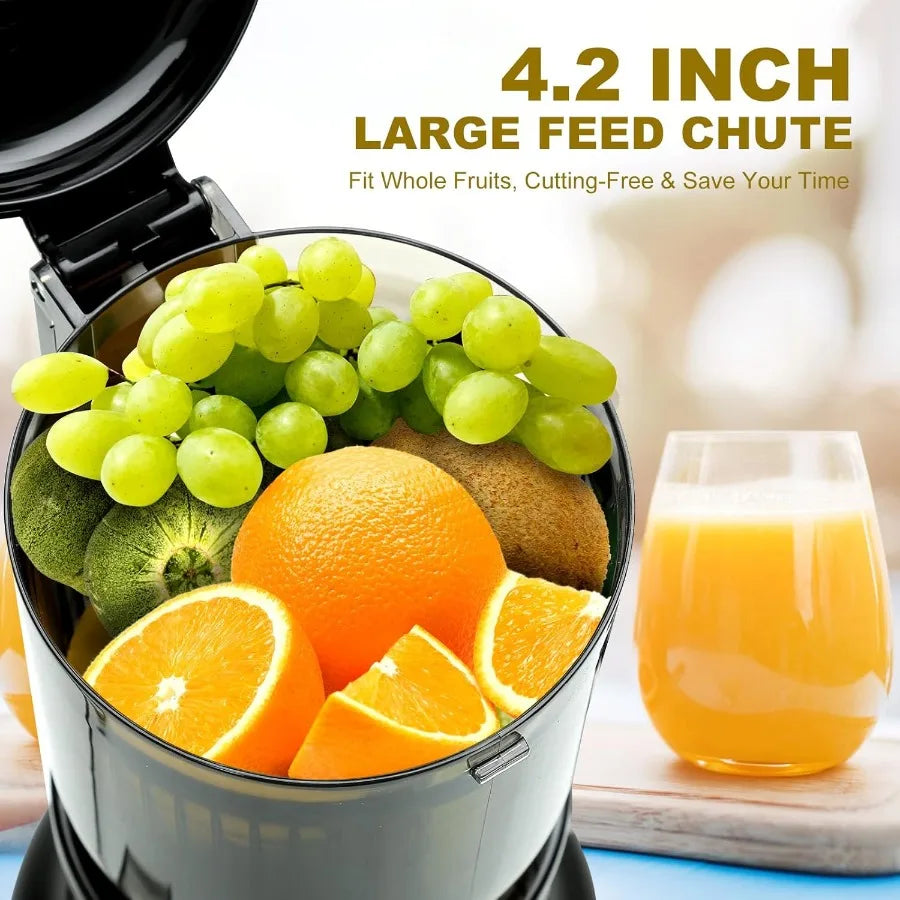 Cold press juicer for whole fruits and vegetables