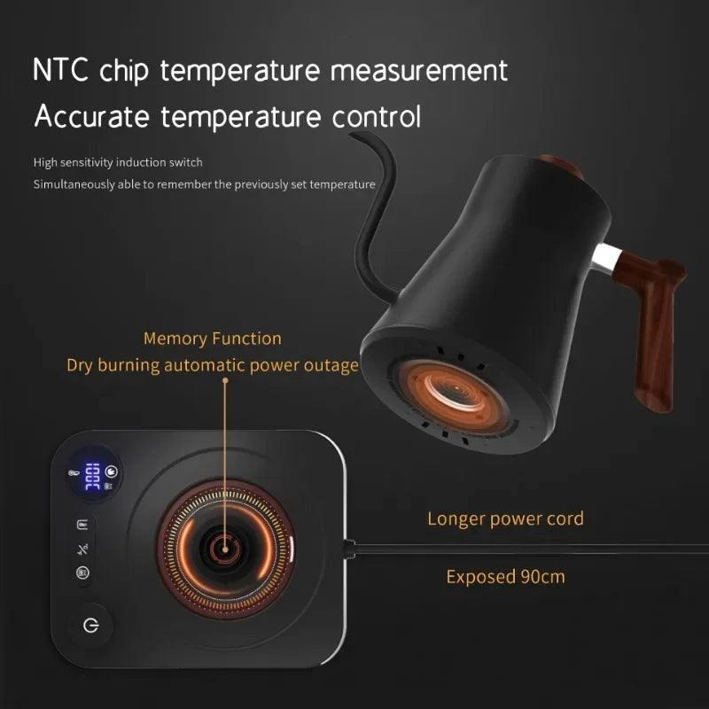 Electric Temperature Control Rapid Heating Gooseneck Kettle