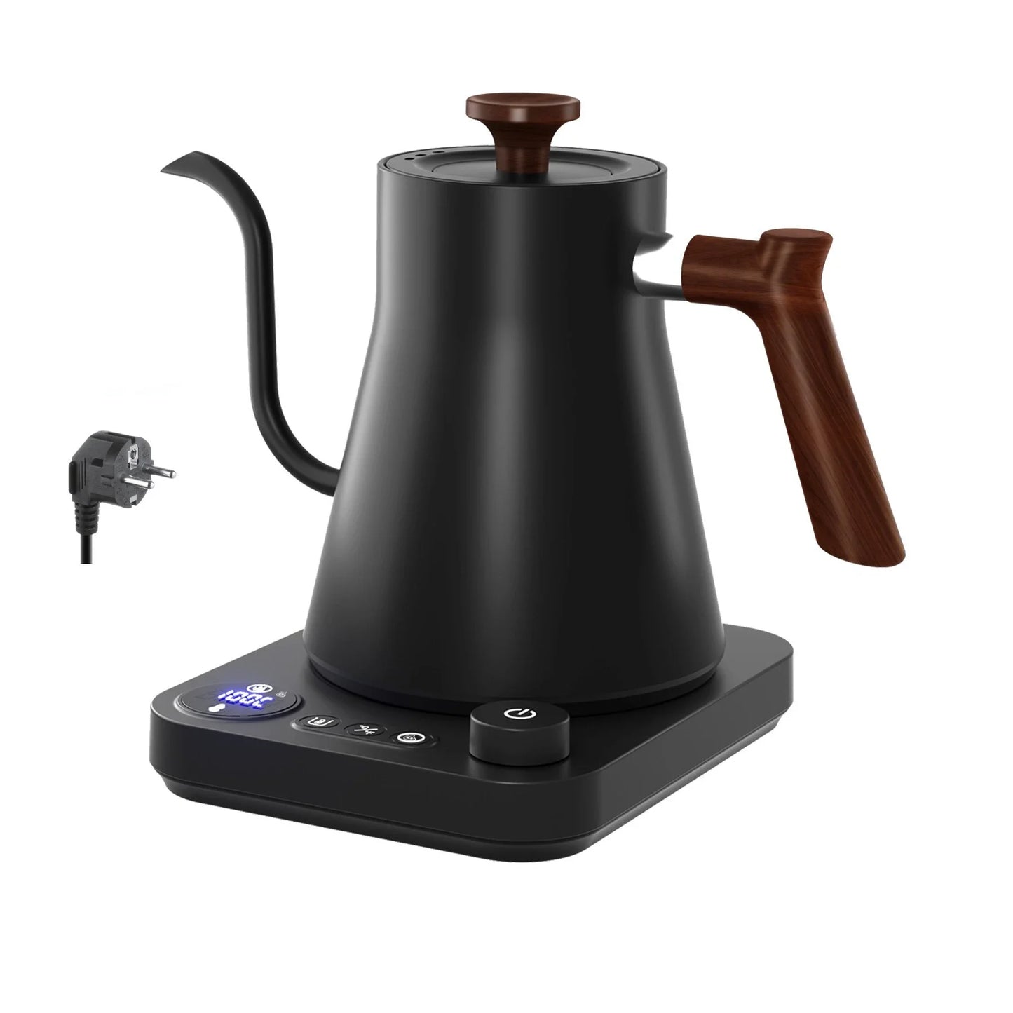 Electric Temperature Control Rapid Heating Gooseneck Kettle